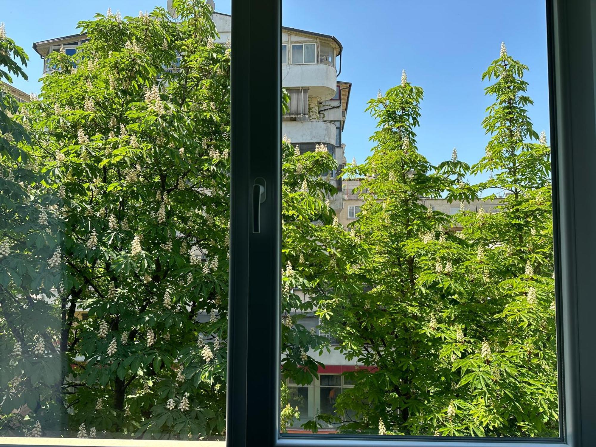 Affittacamere Urban Block Tirana Tirana